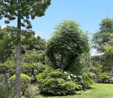 San Salvador de Jujuy Casa | Las Azaleas Yala