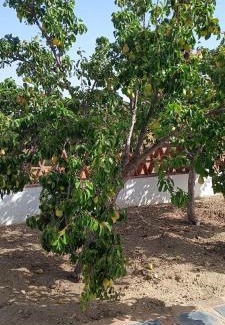 Algamitas Chalet De Esquí | Las Hazuelas Villa 15