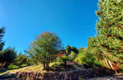 Villa Pehuenia Casa | Las Retamas