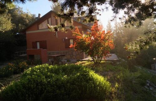 Villa Pehuenia Casa | Las Retamas