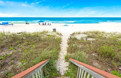 Fort Bay Apartamento | Latitude 29 #10