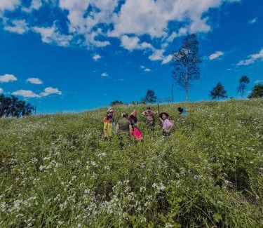 Lauro Muller Casa | Lauro Muller, Rancho Queimado