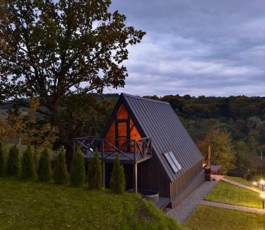 Mykolaiv Chalet De Esquí | Lav inn Polyanna Простір