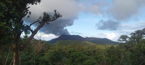 Tanna Island Cama Y Desayuno | Lava view Bungalows