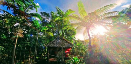 Tanna Island Cama Y Desayuno | Lava view Bungalows