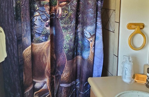Alamosa Cama Y Desayuno | Lavender Trail Ranch
