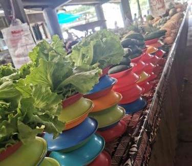 Nadi Cabina | Lavusa