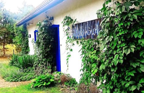 Dobiegniew Casa | Lawendowa Malanówka - domek nad jeziorem