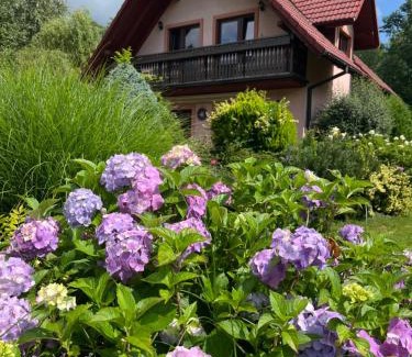 Brenna Casa | LAWENDOWA PRZYSTAŃ - dom nad rzeką - Brenna, 10 osób, sauna, balia z jacuzzi, ogród, plac zabaw