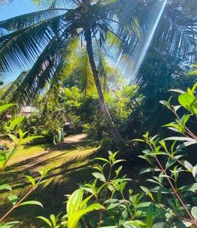 Ambalangoda Casa | Lazy Days