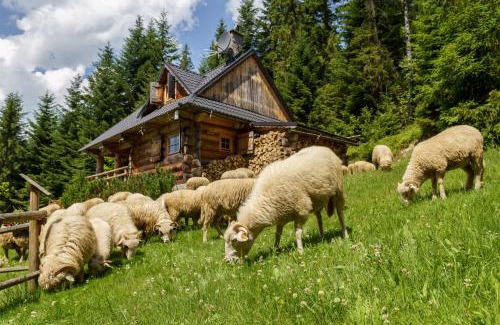 Nowy Targ Chalet De Esquí | Leśna Bacówka