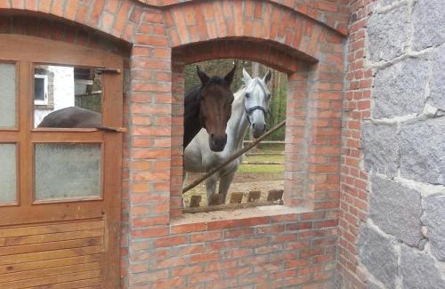 Lipowo Kurkowskie Casa | Leśniczówka Jednorożec