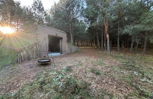 gmina Chotcza Apartamento | Leśny Raj - Samotnia