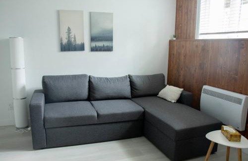 Beaupre Apartamento | Le 4 Saisons 3