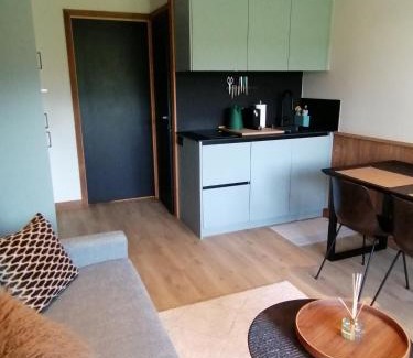 Bourg-Saint-Maurice Apartamento | LE 400 à BSM