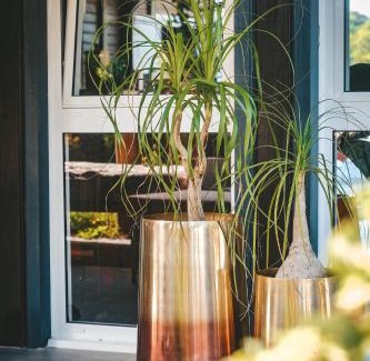 Le Lamentin Casa | Le Baobab Rouge - Maison d'hôtes réservée aux femmes