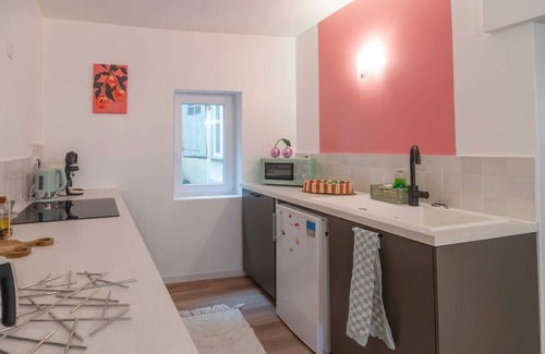 Castres Apartamento | Le Baron - hyper center - air conditioning/closed garage/terrace