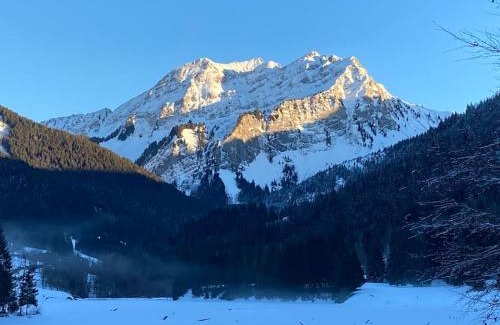 Bellevaux Apartamento | Le Bel appartement de Montagne