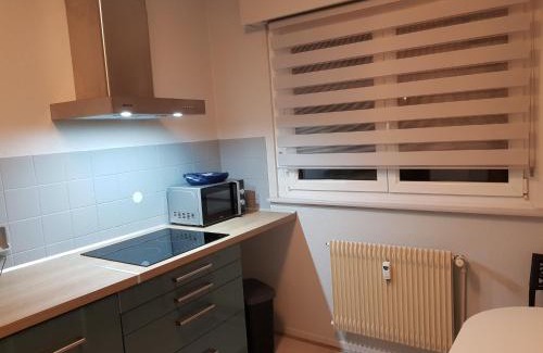 Quartier Saint-Leon Apartamento | Le Bellevue