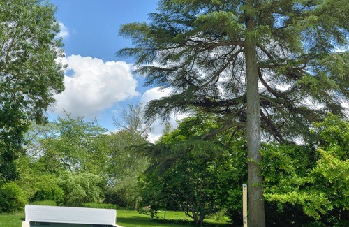 Les Rosiers-sur-Loire Casa | Le Bosquet des Rosiers / Bords de Loire / Piscine