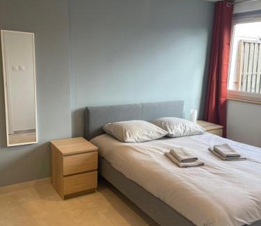 Foret Noire Apartamento | Le Brasilia - Appartement neuf pour 4 personnes avec terrasse