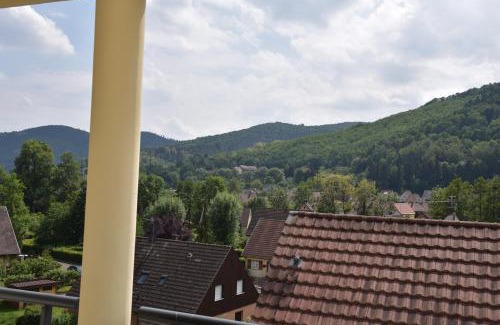 Kaysersberg-Vignoble Apartamento | Le brin d'osier