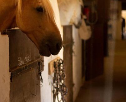 Bouillargues Apartamento | Le Bureau du Haras, Bouillargues