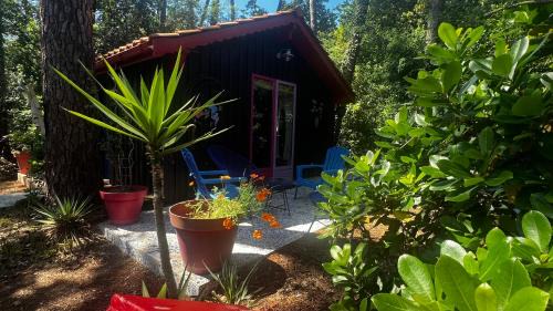 Lacanau Chalet De Esquí | Le Cabanon entouré de Pins