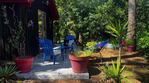 Lacanau Chalet De Esquí | Le Cabanon entouré de Pins