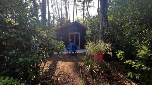 Lacanau Chalet De Esquí | Le Cabanon entouré de Pins