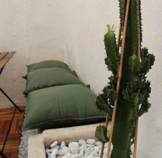 4th Arrondissement Apartamento | Le Cactus - Appartement avec terrasse