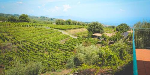 Fornazzo Casa | Le Case Del Merlo Turismo Rurale