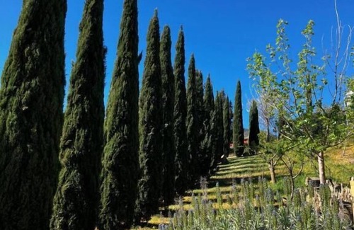 Sclafani Bagni Otro | Le Case di Cardellino - AgriSpa