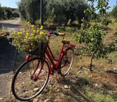 Campofelice di Roccella Apartamento | Le Casette di campagna #2