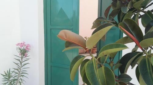 Acquarica del Capo Apartamento | Le Casette