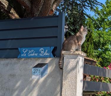 Saint-Michel-sur-Meurthe Casa | LE CEDRE BLEU