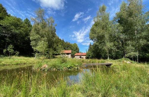 Le Tholy Chalet De Esquí | Le chalet de Nicolas - Your Nature Exclusive Retreat !