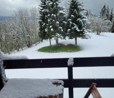 Les Rousses Apartamento | LE CHALET DES SAPINS, Superbe Duplex avec belle vue, Au Coeur Des Rousses, Tout confort 5 pers, Draps inclus, parking gratuit