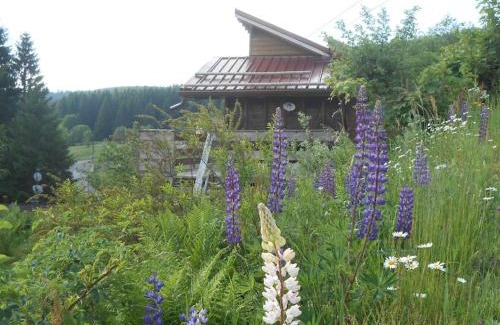 Xonrupt-Longemer Chalet De Esquí | Le chalet du Domaine des Lupins