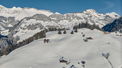 Rougemont Chalet De Esquí | Le Chalet Lion Rouge