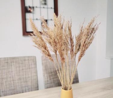 Saint-Louis Apartamento | Le chaleureux, 5min Bâle,Parking