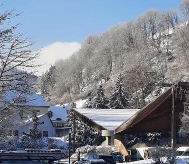 Sainte-Marie-aux-Mines Apartamento | LE CHANT DE LA RIVIERE