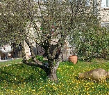 Pernes-les-Fontaines Apartamento | Le charme de Landra