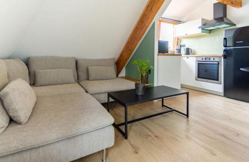 Schiltigheim Apartamento | Le charme de l'ancien allié au contemporain