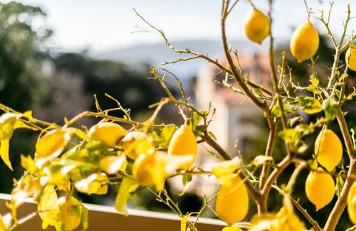 Cap-d'Antibes Apartamento | LE CHATEAU DE LA PINEDE AP4198 by Riviera Holiday Homes