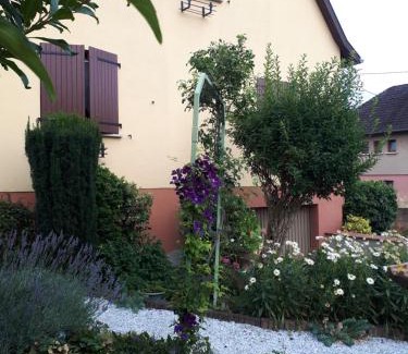 Selestat Casa | Le chouette gîte