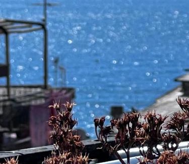 Borgo Antico Apartamento | LE CINQUE VELE * Cinque Terre