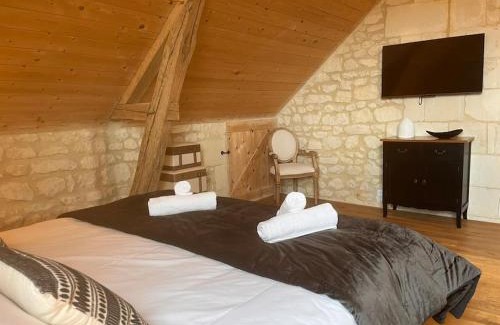 Saint-Nicolas-de-Bourgueil Casa | Le Clos de la Rodaie Bourgueil Loire Valley