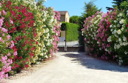 Molleges Cama Y Desayuno | Le Clos de Calas
