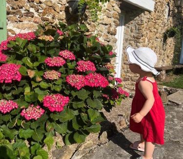 Rebais Casa | Le Clos des Hortensias